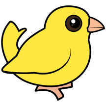 Domestic Canary