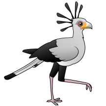 Secretary Bird