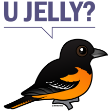 U Jelly?