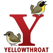 Y is for Yellowthroat