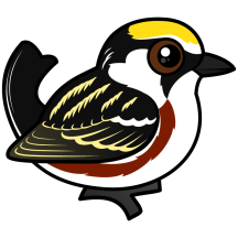 Chestnut-sided Warbler