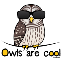 Owls are cool