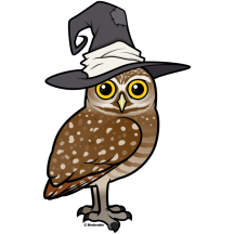 Burrowing Owl Witch