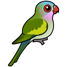 Birdorable Princess Parrot