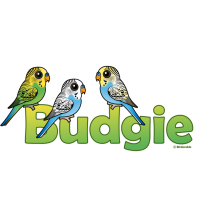 BUDGIE