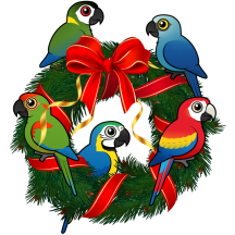Birdorable Macaws Christmas Wreath