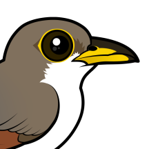 Cuckoos & Cohorts