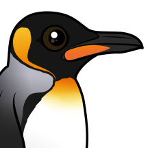 Penguins