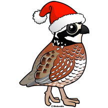 Santa Bobwhite