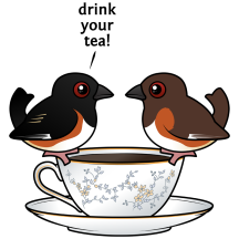 Eastern Towhee: Drink Your Tea!