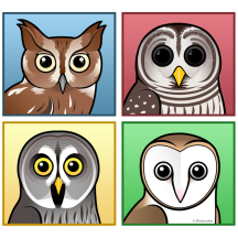 Four Color Owls (pastel)