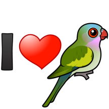 I Love Princess Parrots