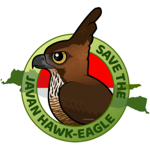 Save the Javan Hawk-Eagle