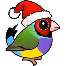 Christmas Gouldian Finch