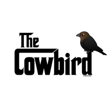 The Cowbird