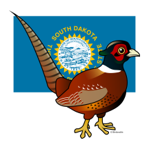 State Birdorable of South Dakota: Common Pheasant
