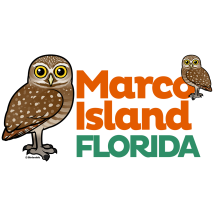 Marco Island Burrowing Owls