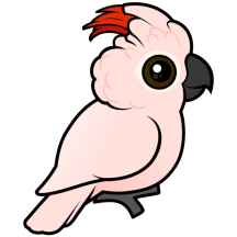 Birdorable Salmon-crested Cockatoo