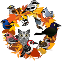 Autumn Wreath of North American Birds