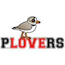 Plovers Love