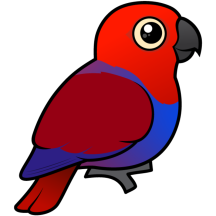 Customizable Female Eclectus Parrot