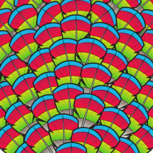 Hawk-headed Parrot Feathers