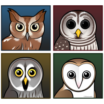 Four Color Owls (dark)