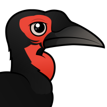 Toucans & Hornbills