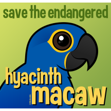 Save the Endangered Hyacinth Macaw
