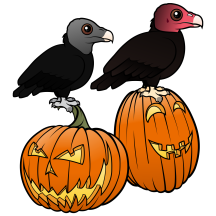 Vultures Celebrate Halloween