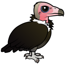 Hooded Vulture