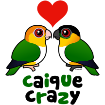 Caique Crazy