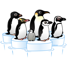 Penguin Party