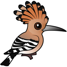 Hoopoe