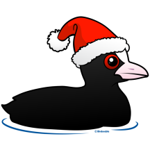 Santa Eurasian Coot