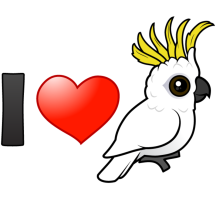 I Love Sulphur-crested Cockatoos (crest up)