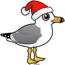 Santa Ring-billed Gull