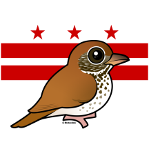 Official Birdorable of Washington, D.C.: Wood Thrush