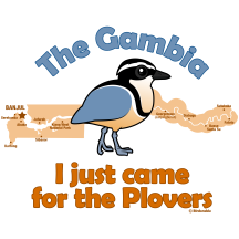 I Just Came for the Plovers