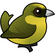 Akekee