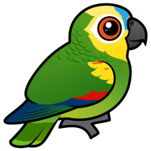 Blue-fronted Parrot