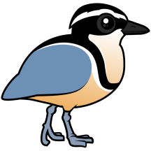 Egyptian Plover