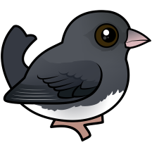 Slate-colored Dark-eyed Junco