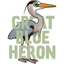 Jumbo Great Blue Heron
