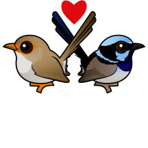 Fairywrens in Love