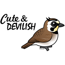 Horned Lark: Cute & Devilish