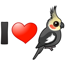 I Love Cockatiels