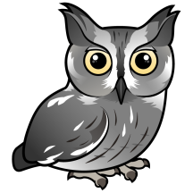Western Screech Owl