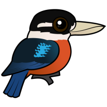 Rufous-bellied Kookaburra