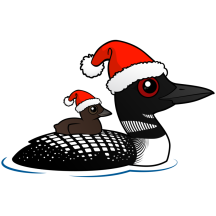 Common Loon as Santa